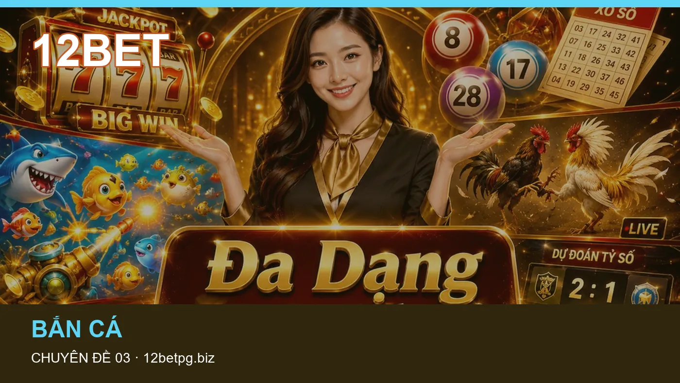 Hỏi đáp về Slot: quy trình tự kiểm tra trên 12BET