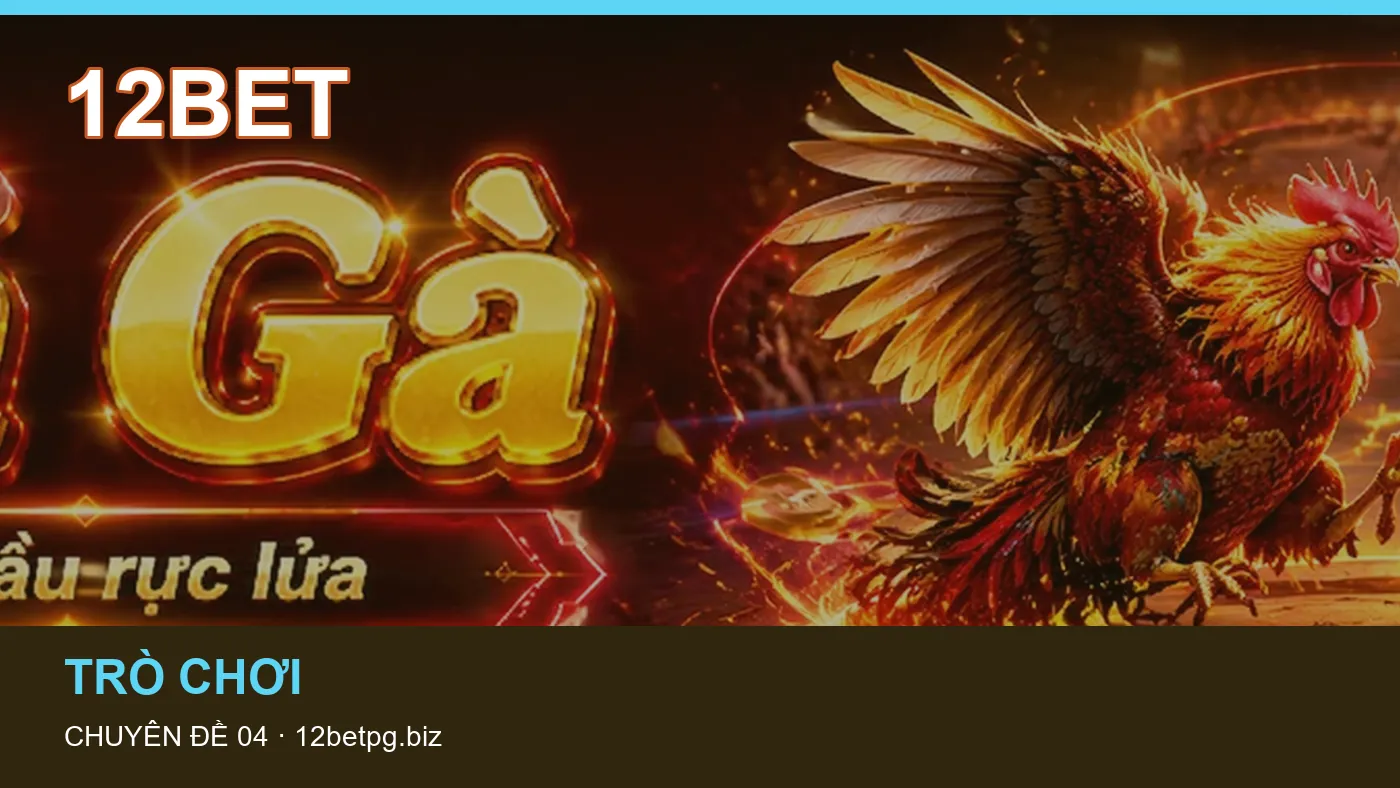 Hỏi đáp về Bắn cá: quy trình tự kiểm tra trên 12BET